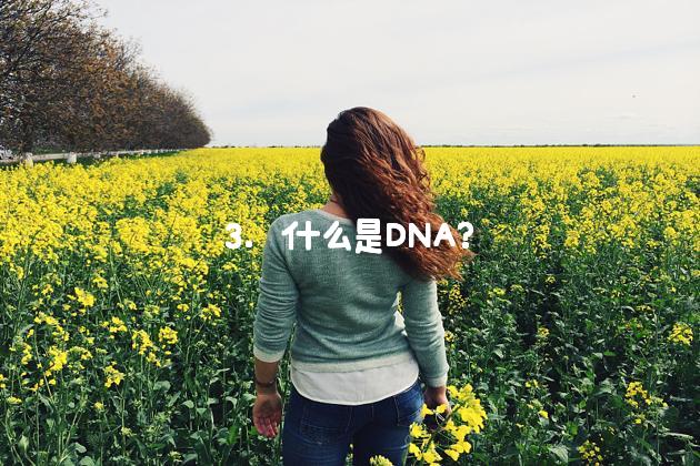  什么是DNA？